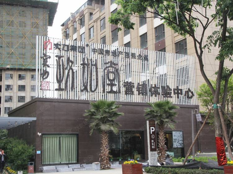 最新動(dòng)態(tài)：實(shí)力玖如堂資訊,最新動(dòng)態(tài)，實(shí)力玖如堂資訊