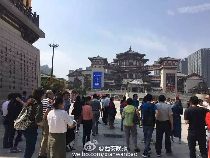 大唐西市最新動(dòng)態(tài)，自然美景探尋之旅