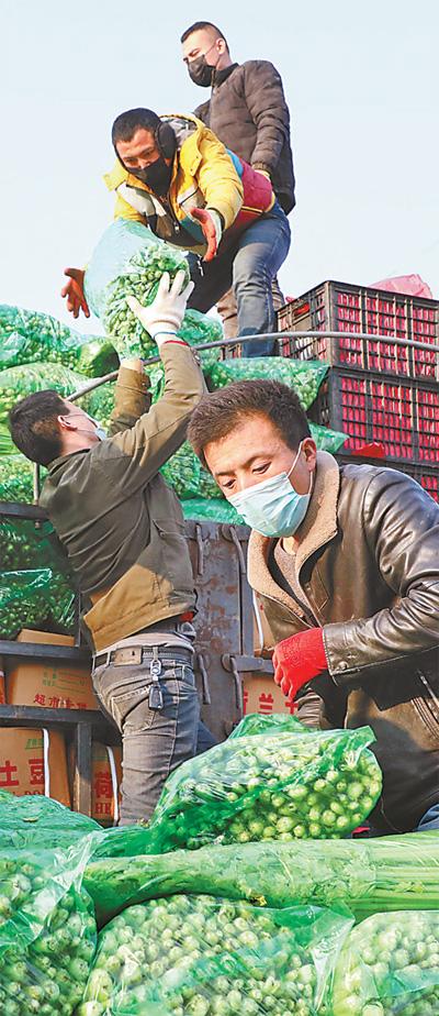 沂南工業(yè)園最新招聘，友情、夢想與家的溫馨交匯點