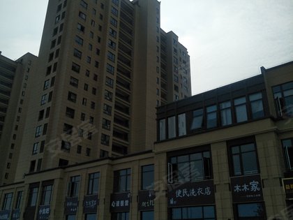 益林銘府最新動(dòng)態(tài)，自然美景探索之旅，尋找內(nèi)心平和與寧?kù)o