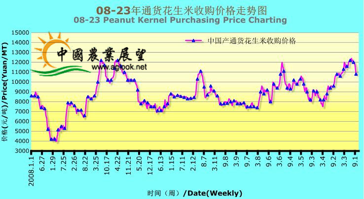 全國(guó)花生米最新價(jià)格走勢(shì)，探索小巷美食與價(jià)格動(dòng)態(tài)之旅