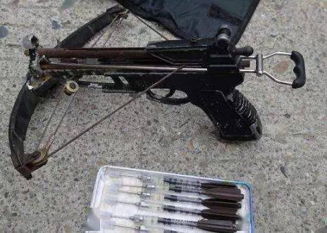時代背景下的寵物管理利器，最新款麻醉打狗槍圖片曝光