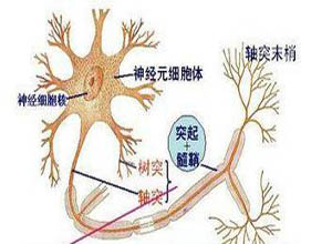 運(yùn)動(dòng)神經(jīng)元病最新治療，自然美景下的治愈之旅
