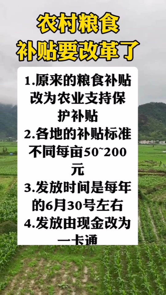 關(guān)于糧食直補(bǔ)的最新消息，展望2025年的政策動(dòng)向